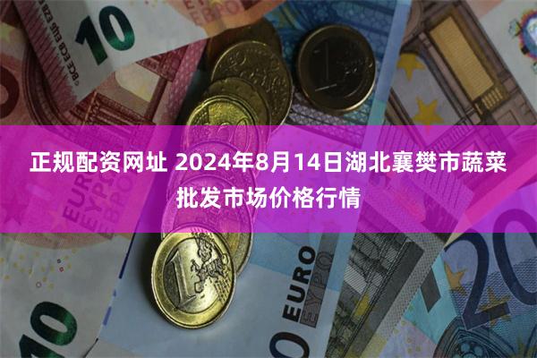 正规配资网址 2024年8月14日湖北襄樊市蔬菜批发市场价格行情