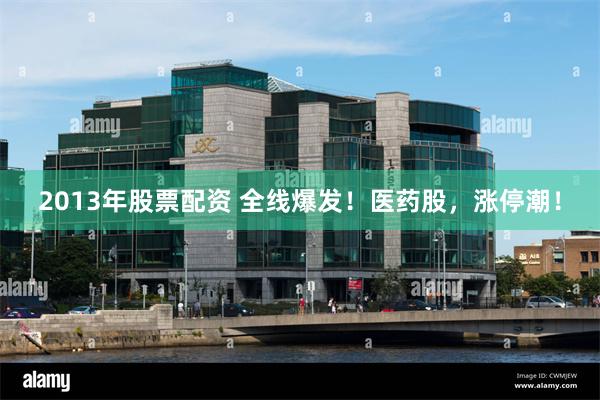 2013年股票配资 全线爆发！医药股，涨停潮！