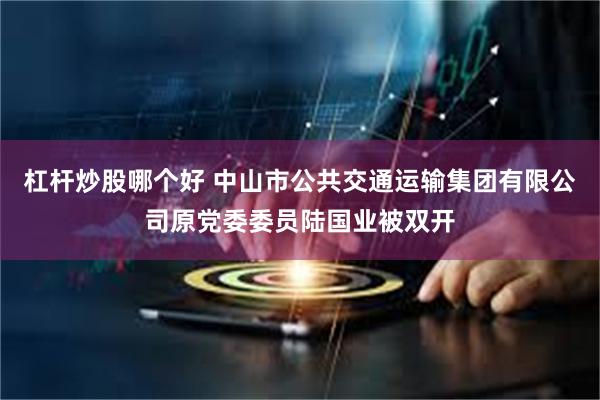杠杆炒股哪个好 中山市公共交通运输集团有限公司原党委委员陆国业被双开